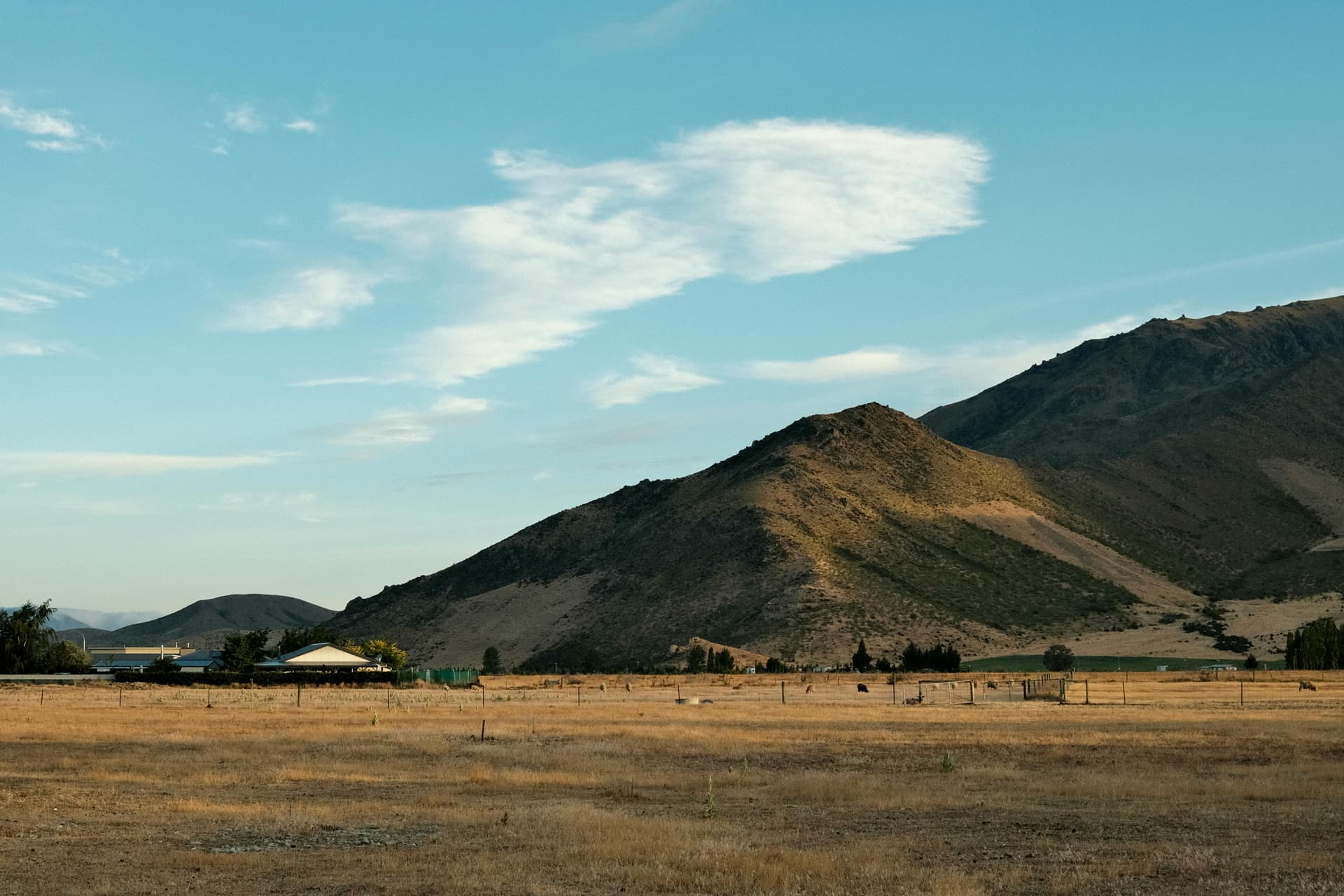New Zealand landscape