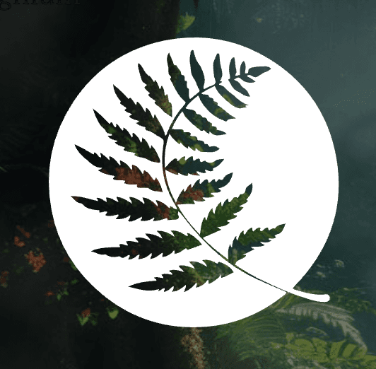 Building trust online: a fast, secure Drupal site for Ignium