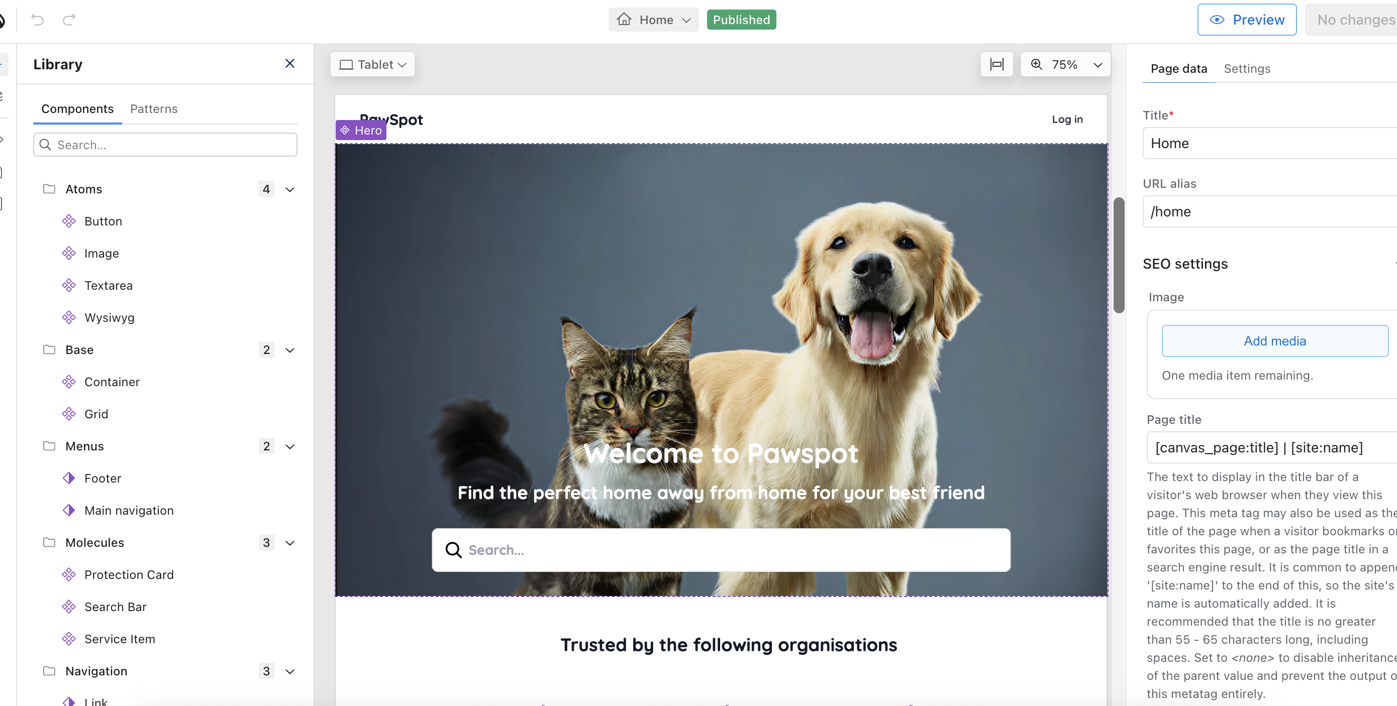 Drupal Canvas Interface