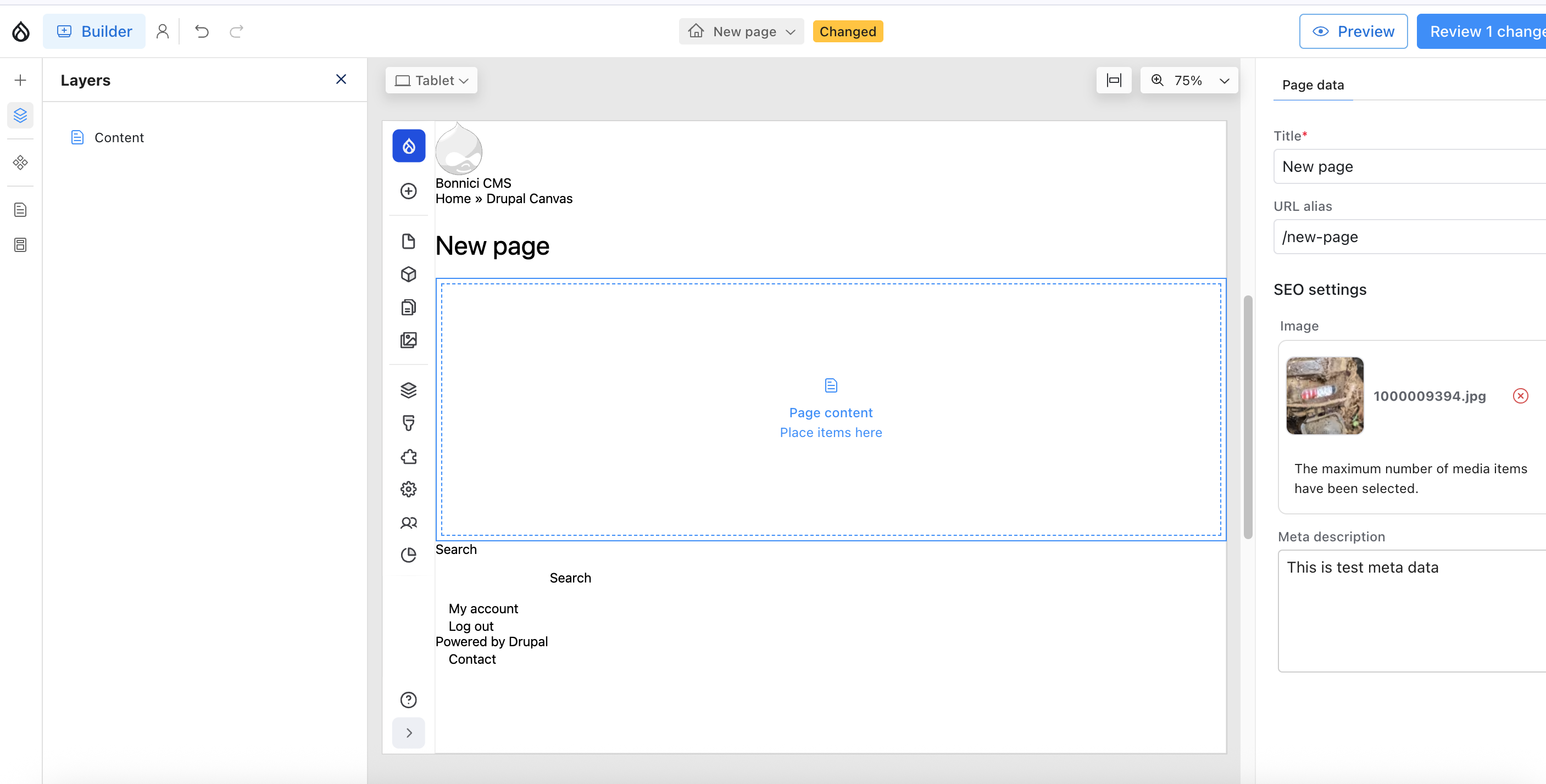 Drupal Canvas Editor