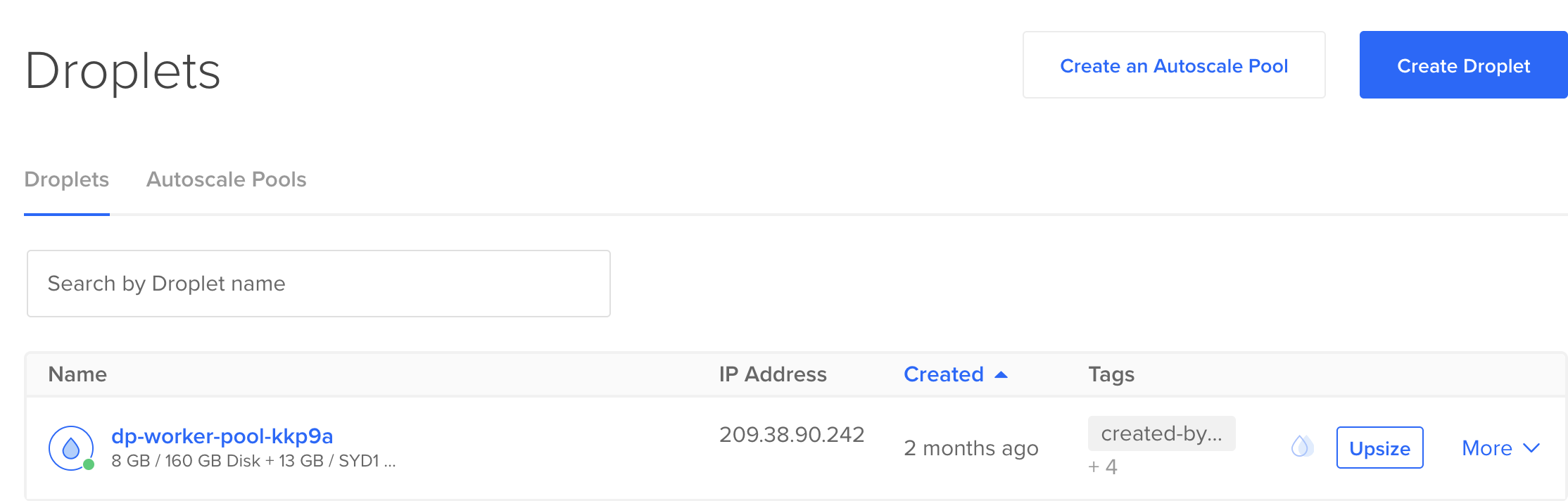 Digital Ocean droplets managed by DevPanel showing auto-provisioned worker pools